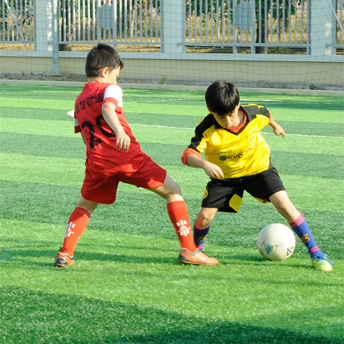 Đội tuyển bóng đá tiểu học Đô Thị Việt Hưng giành giải nhất môn bóng đá tại HKPĐ cấp quận năm học 2016 - 2017